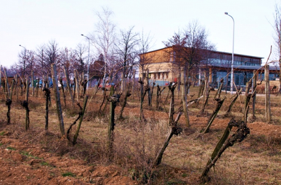 Lesz uszoda, kalandpark is épül