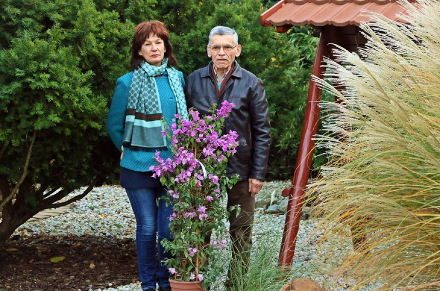 Virágos Balatonfüredért – Megvan az év kertje